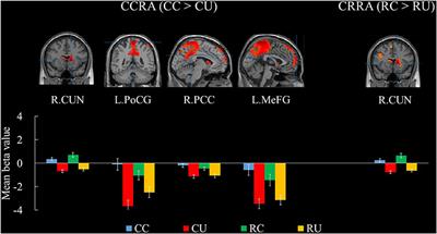 Visual-Spatial and Verbal Remote Association: An fMRI Study